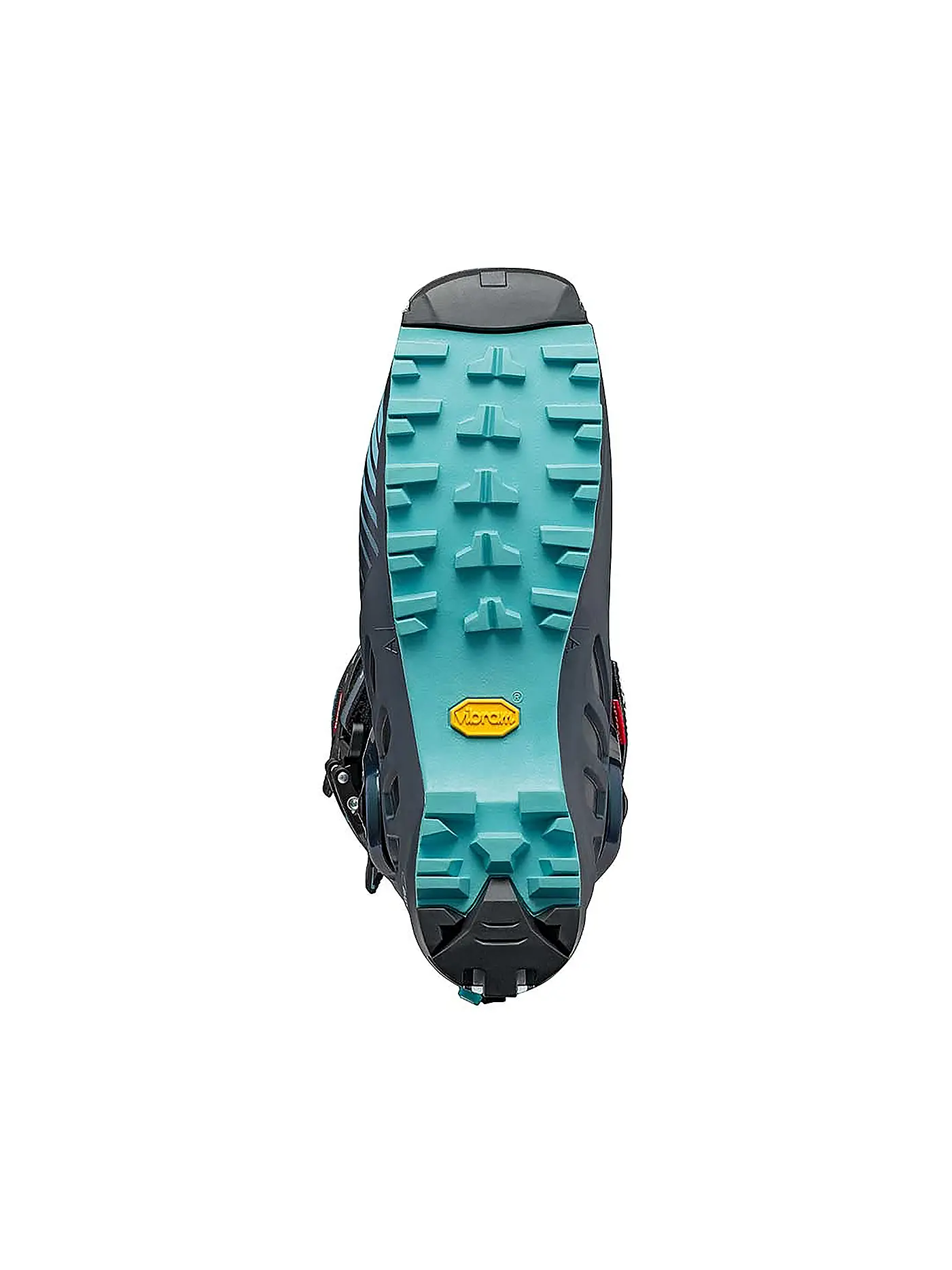 SCARPA | Damen Tourenskischuhe F1 | 
